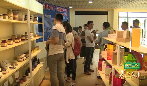 數說貴州 數字鄉村的貴州實踐，智慧生活織就智富夢